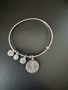 Alex and Ani Silver-Toned Path of Life Charm Bracelet